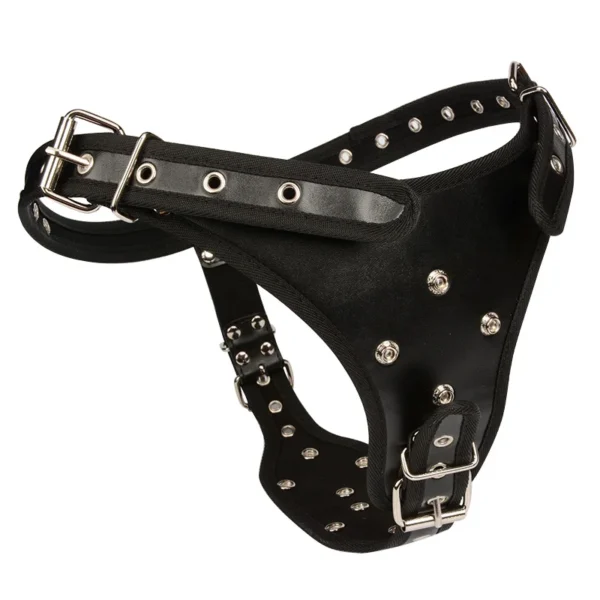 Big Long Strap on Dildo for Women Huge Silicone Triple Strapons Dildo Anal Plug with Panty Lesbian Sex Toys No Vibration - Image 6