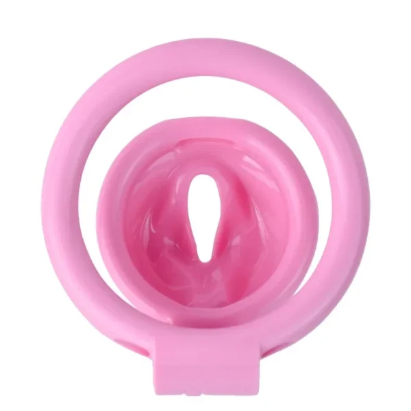 2025 New Male Resin Simulation Pussy Chastity Cage Bundle Anti Cheating Cock Cage With 4 Yards Penis Ring Adult Erotica Sex Toys - Image 6