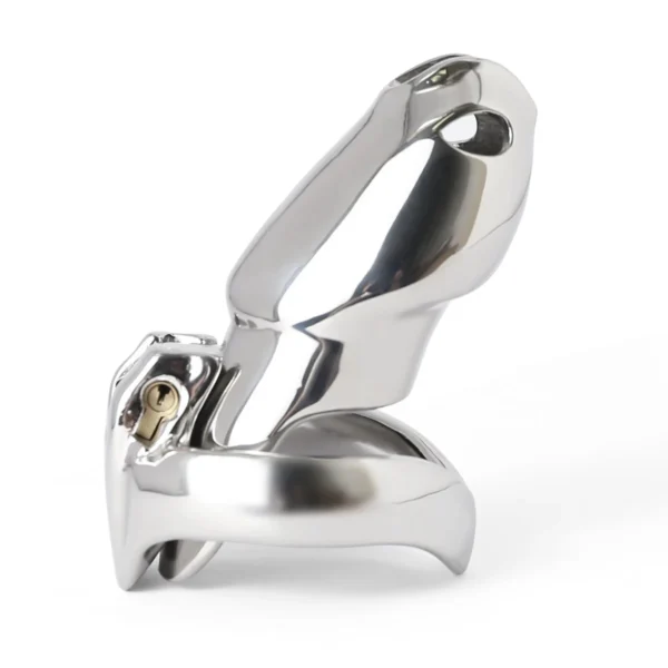 New HT-V4 Penis Cage Stainless Steel Lockable Penis Lock Cock Cage Penis Metal Cock Ring Chastity Belt Cage Sex Toys For Men 18+ - Image 6