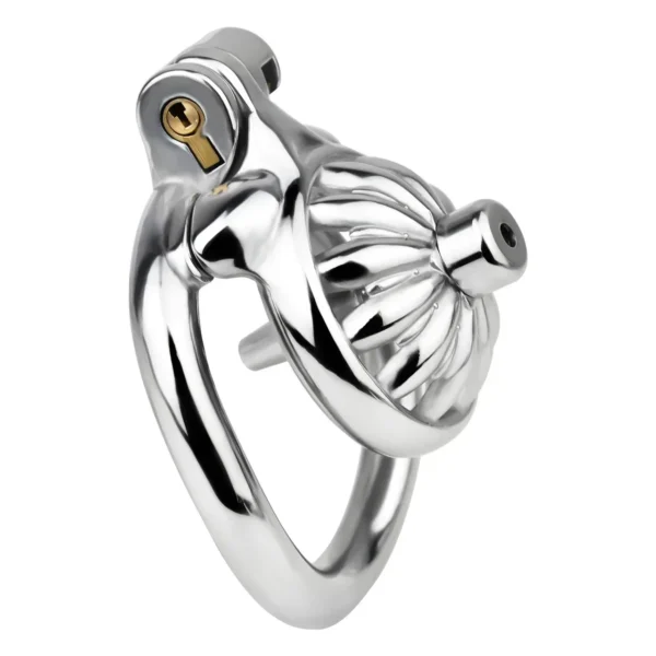 Men's Metal Rivet Chastity Cage Negative Lock Cum Lock Pseudo Pussy Out Wear Male Udder Erotic Toys with 4 Size Cock Ring - Image 2